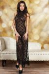 Sheer Full Length Lace Dress